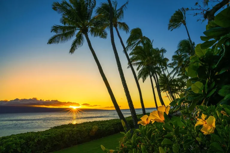 Countries Near Hawaii: A Detailed Guide
