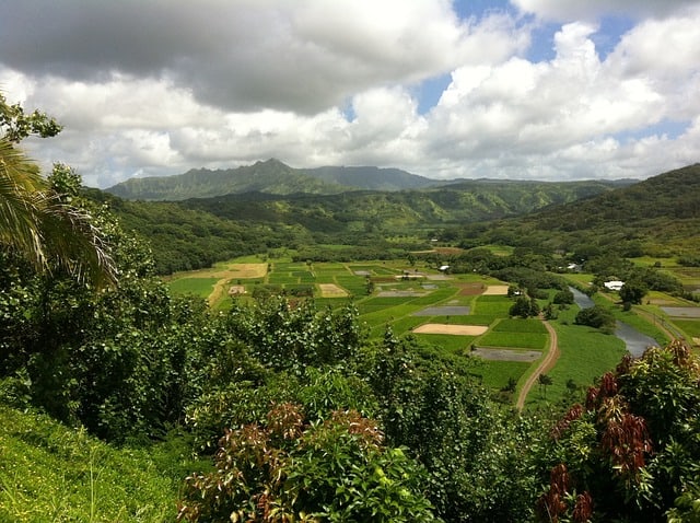 Hawaii farm