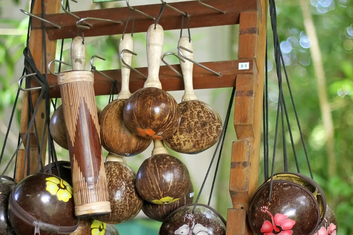 The History And Cultural Significance Of The Hawaiian Coconut Bra - Hawaii  Star
