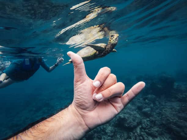 Shaka sign