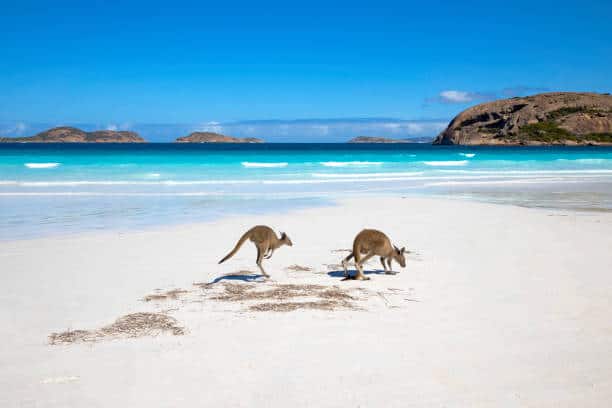 Beach in Australia 
