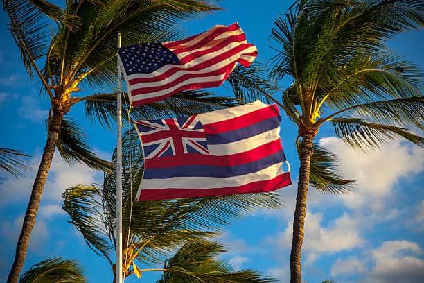 flags in a windy beachfront scene with palm trees. Hawaii State Flag features an union jack.