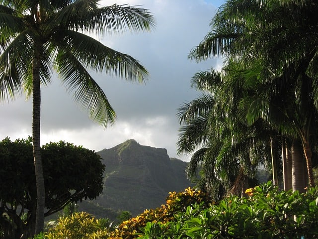 Hawaii land