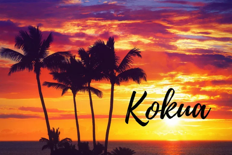 What Does Kokua Mean In Hawaiian?
