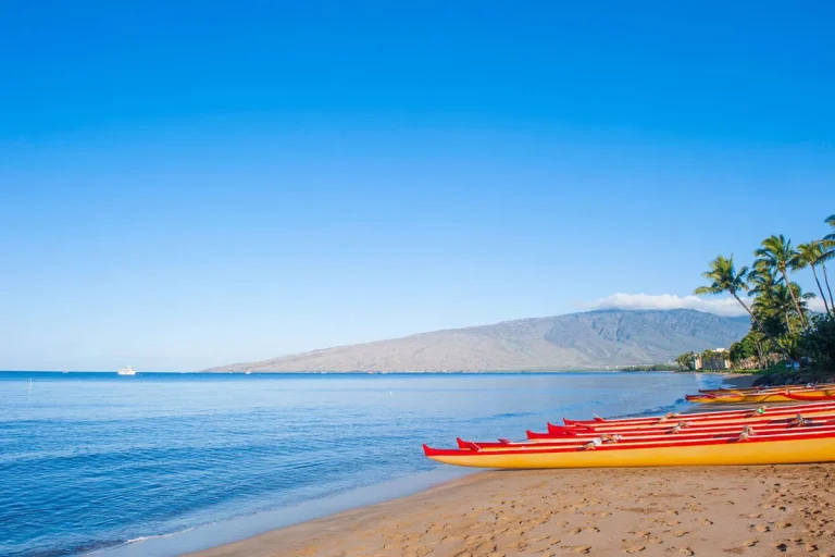The Worst Things About Living In Maui