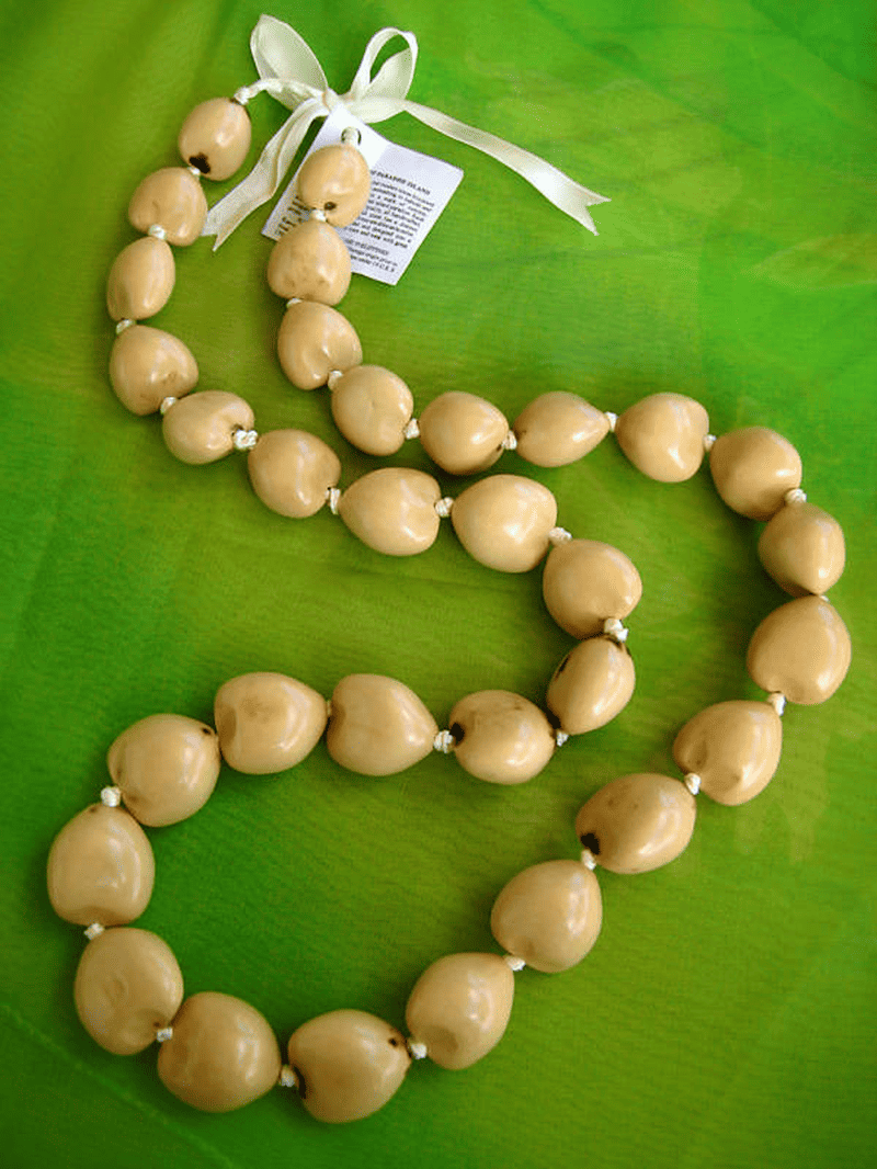 Kukui Nut Lei stock photo. Image of kernel, necklace, polynesian - 1177460