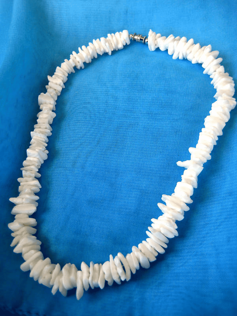 Surf Shell Necklace – Get After It Australia