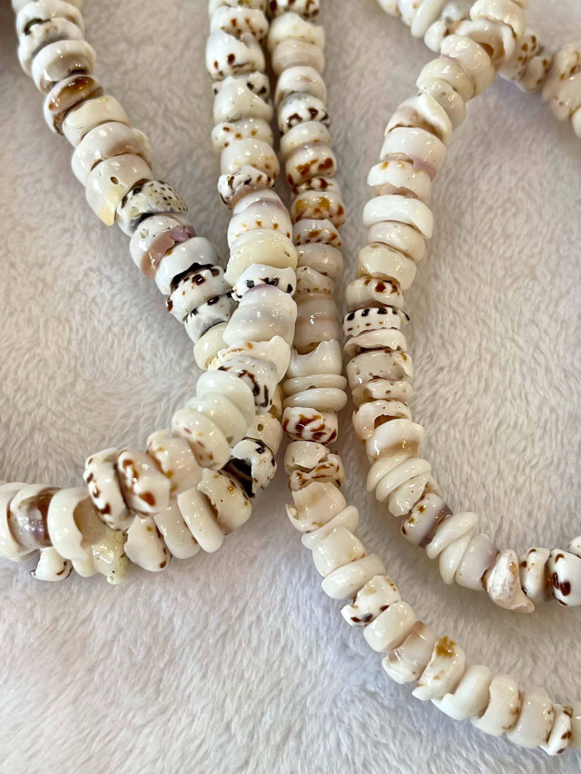 Puka Shell Chocker - jewelry - by owner - sale - craigslist