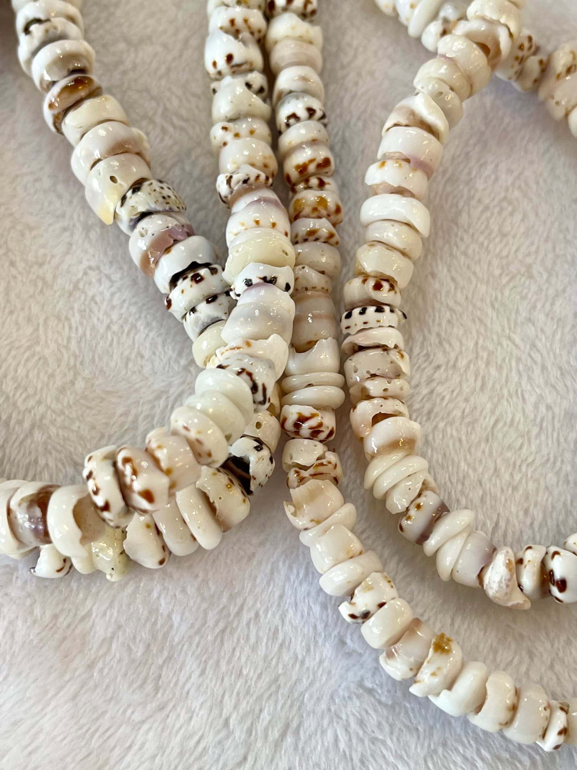 Amazon.com: Tiger Smile Real Chips Puka Shell Necklace 18