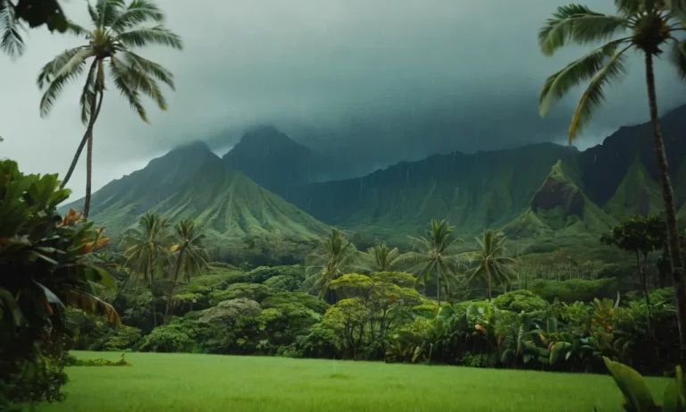 How Much Rain Does Hawaii Get Per Year?