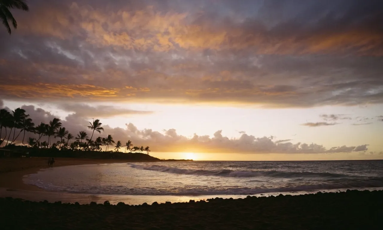 How To Get Rid Of Feral Chickens In Hawaii Hawaii Star