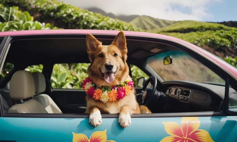 How To Get Your Dog To Hawaii Without Flying: The Complete Guide