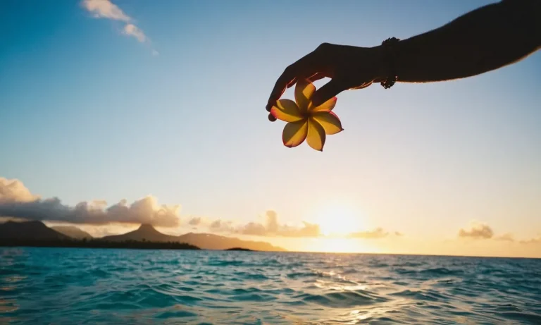 What You Cannot Bring Back From Hawaii: A Complete Guide