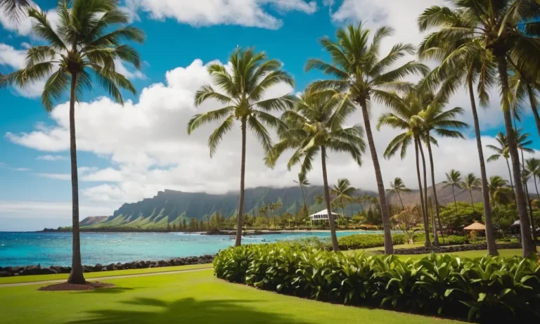 What Colleges Are In Hawaii? A Detailed Overview