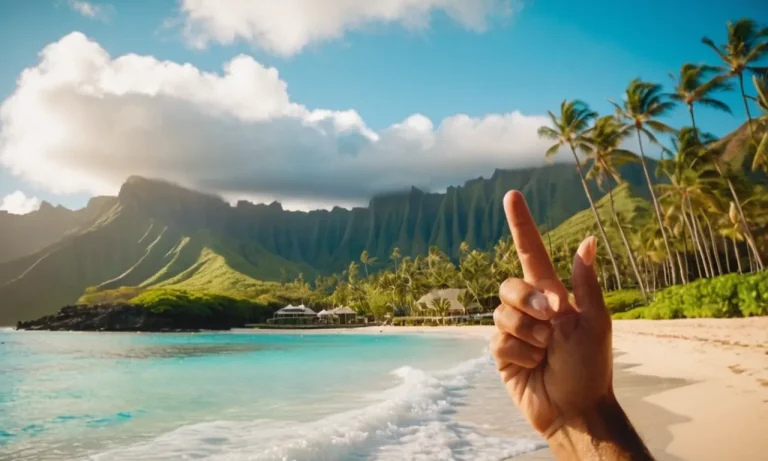 What Does Shaka Mean In Hawaii?