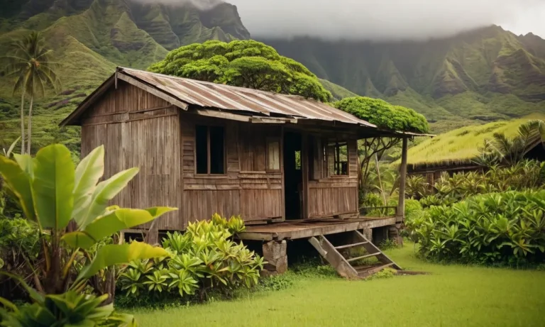 Unraveling the Cost of Living Puzzle: Understanding Low Income in Hawaii