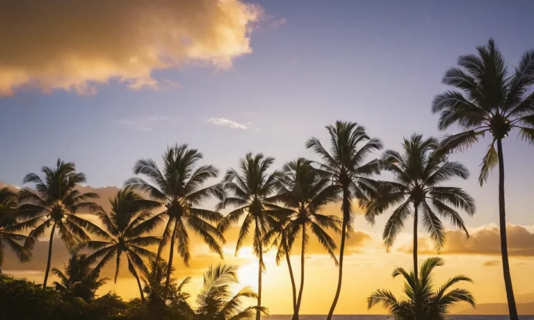 What Is The Average Temperature In Hawaii?