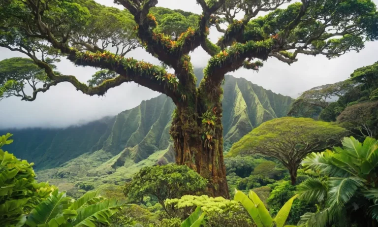 What Is The State Tree Of Hawaii?
