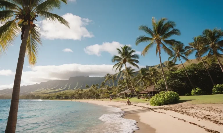 What Is The Weather Like In Hawaii In June?