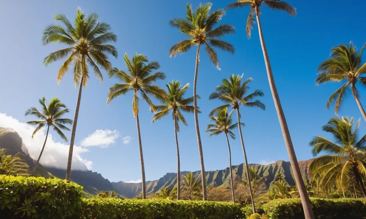 What Is The Weather Like In Hawaii In November? Hawaii Star