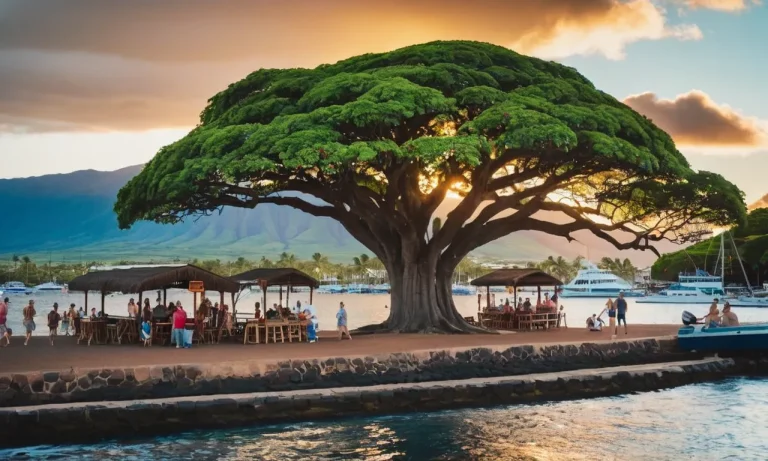 What To Do In Lahaina, Hawaii: A Complete Travel Guide