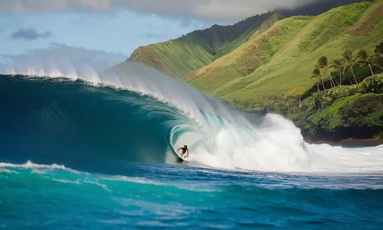 What To Do In North Shore Hawaii: A Local’S Guide