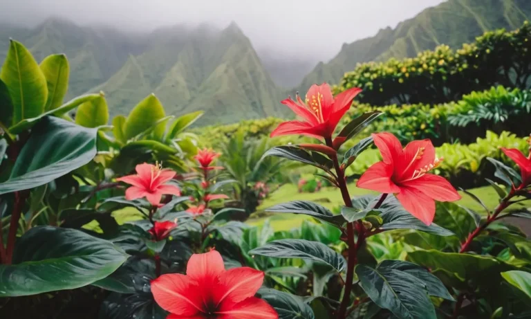 Why Are My Allergies So Bad In Hawaii?