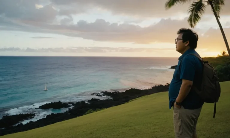 Why Did Masi Oka Leave Hawaii Five-0?