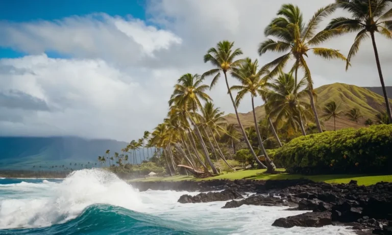 Why Is It So Windy In Hawaii Today?
